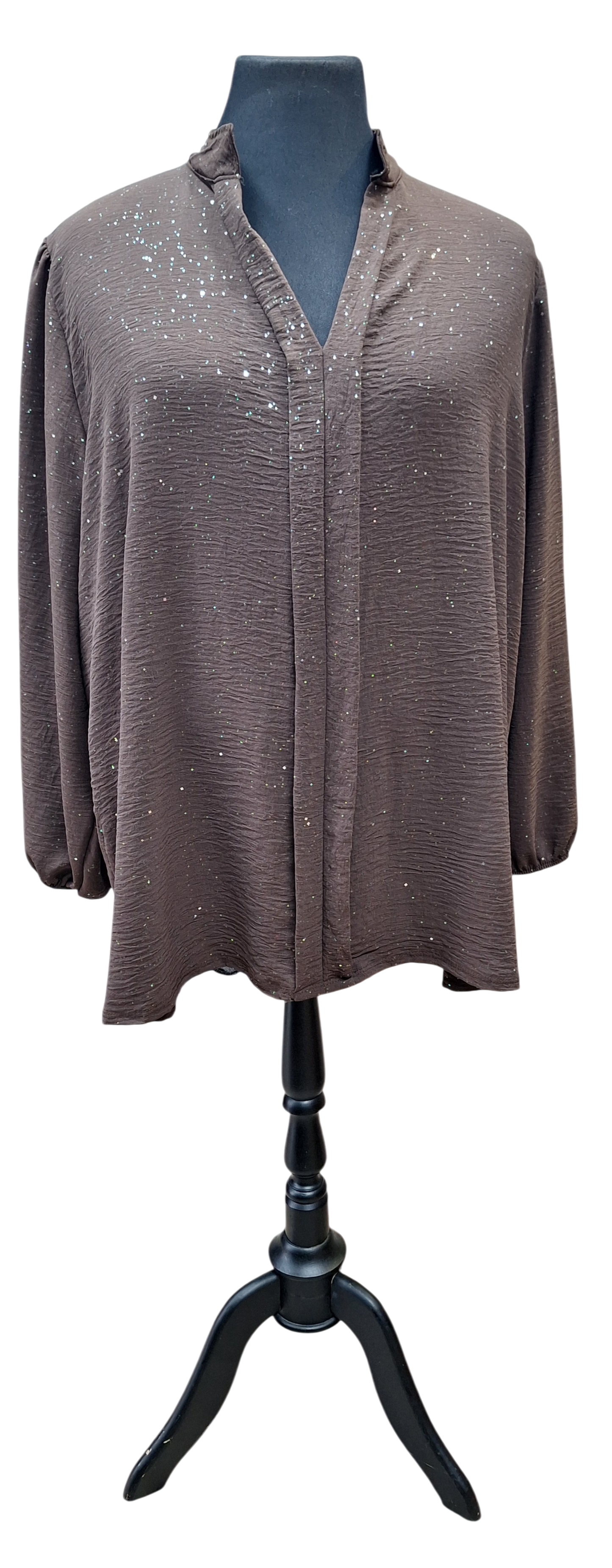 Glitter blouse