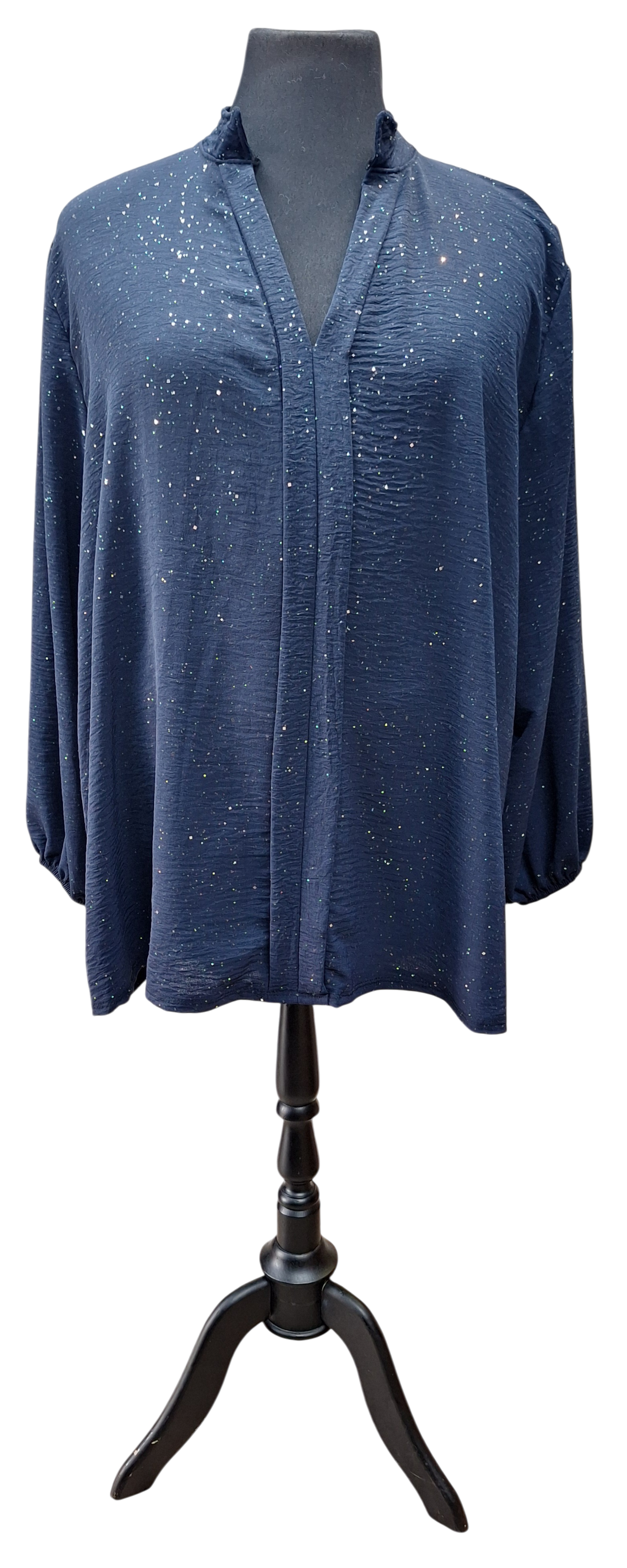 Glitter blouse